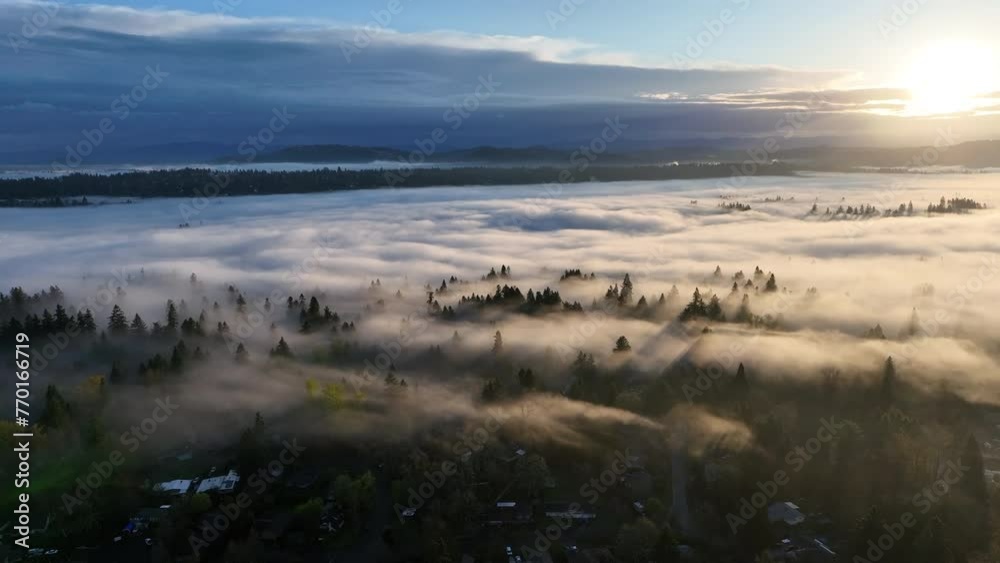 Early morning sunlight illuminates fog that has settled in the Willamette Valley in northern Oregon, not far south of Portland. The entire Pacific Northwest is known for its moist, temperate climate. Early morning sunlight illuminates fog that has settled in the Willamette Valley in northern Oregon, not far south of Portland. The entire Pacific Northwest is known for its moist, temperate climate.