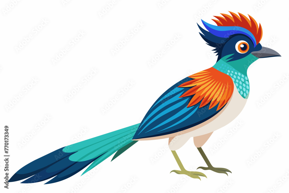 Asian paradise flycatcher vector with white background.