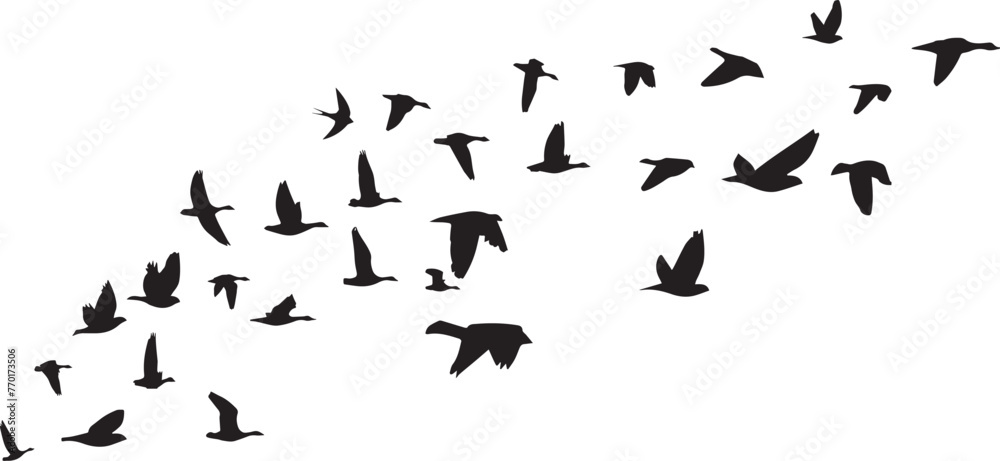 group of flying birds silhouette illustration group of flying birds silhouette illustration