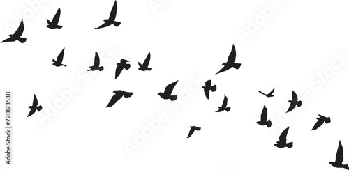 group of flying birds silhouette illustration