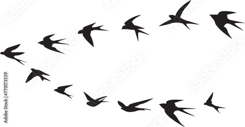 group of flying birds silhouette illustration © Ayoub