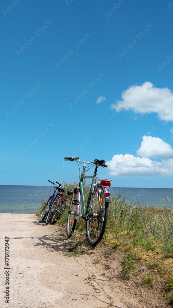 A bike is parked on the side of a dirt road next to the ocean, with spring flowers blooming nearby. Romantic shores of Baltic sea. A bike is parked on the side of a dirt road next to the ocean, with spring flowers blooming nearby. Romantic shores of Baltic sea.