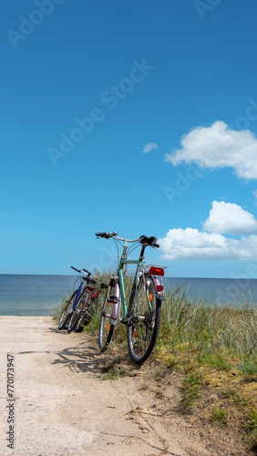 A bike is parked on the side of a dirt road next to the ocean, with spring flowers blooming nearby. Romantic shores of Baltic sea.