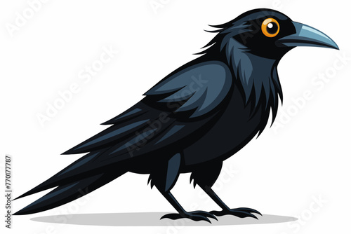 Crow with white background.