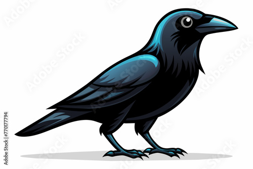 Crow with white background.