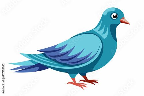 Dove vector with white background.