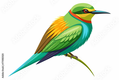 Green bee-eater vector with white background.