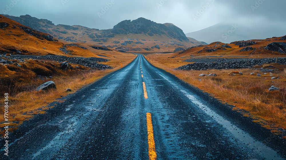 Fototapeta premium Radiant Roadmaps for SEO and Online Branding Excellence