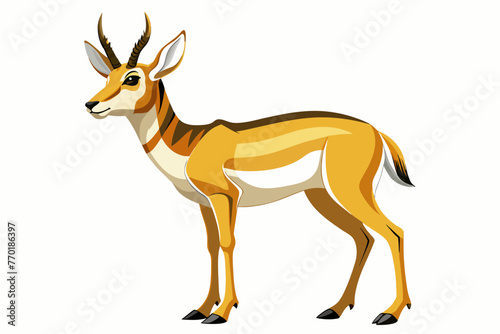 Pronghorn vector with white background.