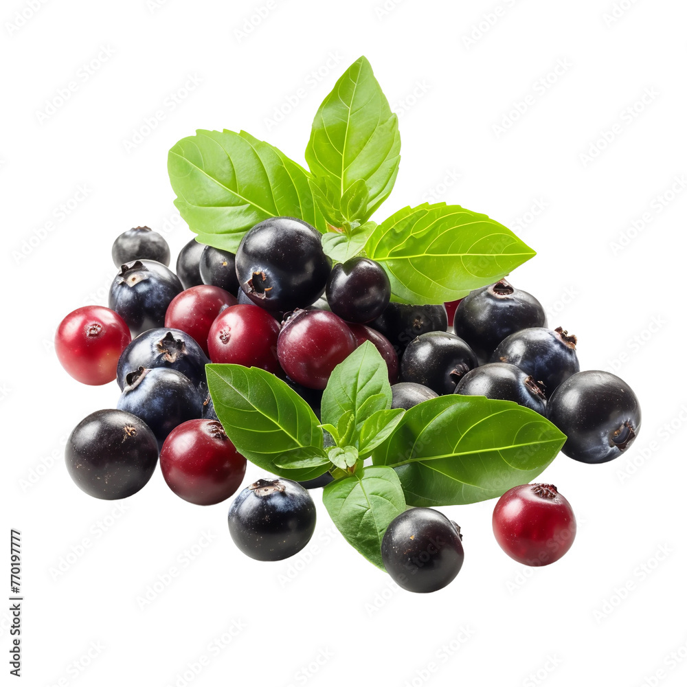 Natural and Fresh Basil Berry Blend isolated on white background Natural and Fresh Basil Berry Blend isolated on white background