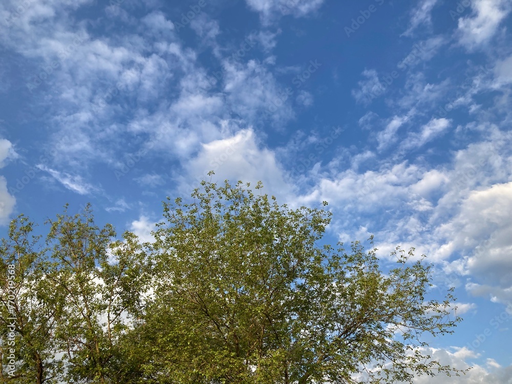 sky and clouds sky and clouds
