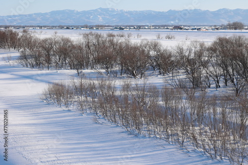 Fototapeta Naklejka Na Ścianę i Meble -  雪面に描かれる木々の影が美しい河川敷の景観