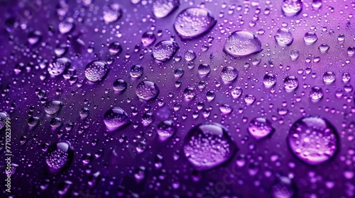 purple water droplets are beautifully arranged on the glass surface