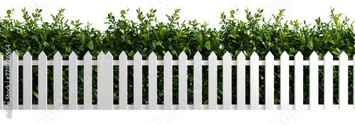Lush green bushes over white picket fence, cut out on transparent PNG