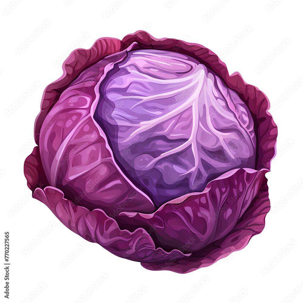 Red cabbage isolated, transparent background white background no background