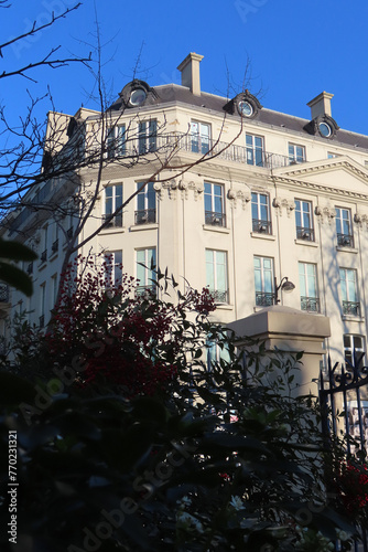 parisian houses and trees, typical city view
