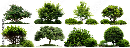Set of green garden bushes, cut out isolated on white background or transparent PNG photo