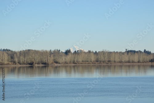 Winter Solace: Sauvie Island Coastal Retreat photo