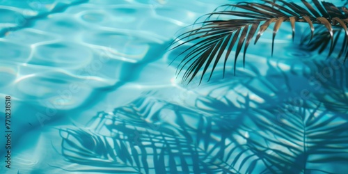 A palm tree casts its shadow on the clear blue pool water, creating a picturesque scene