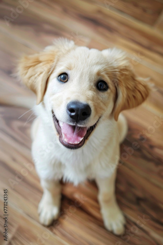 A hilarious close-up of a mischievous dog with a goofy expression