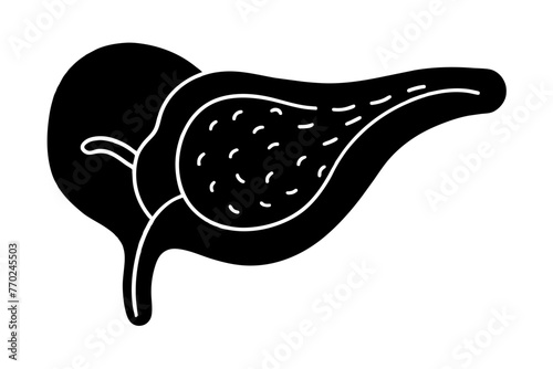 gallbladder silhouette vector illustration