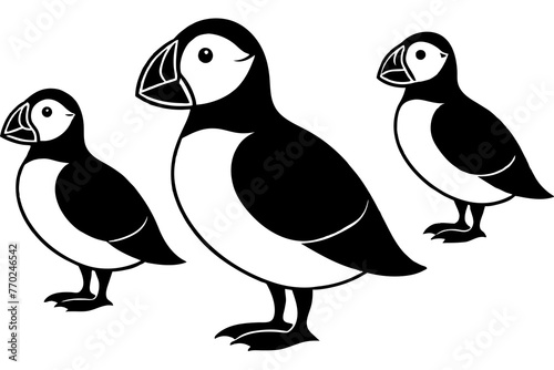puffin bird silhouette vector illustration