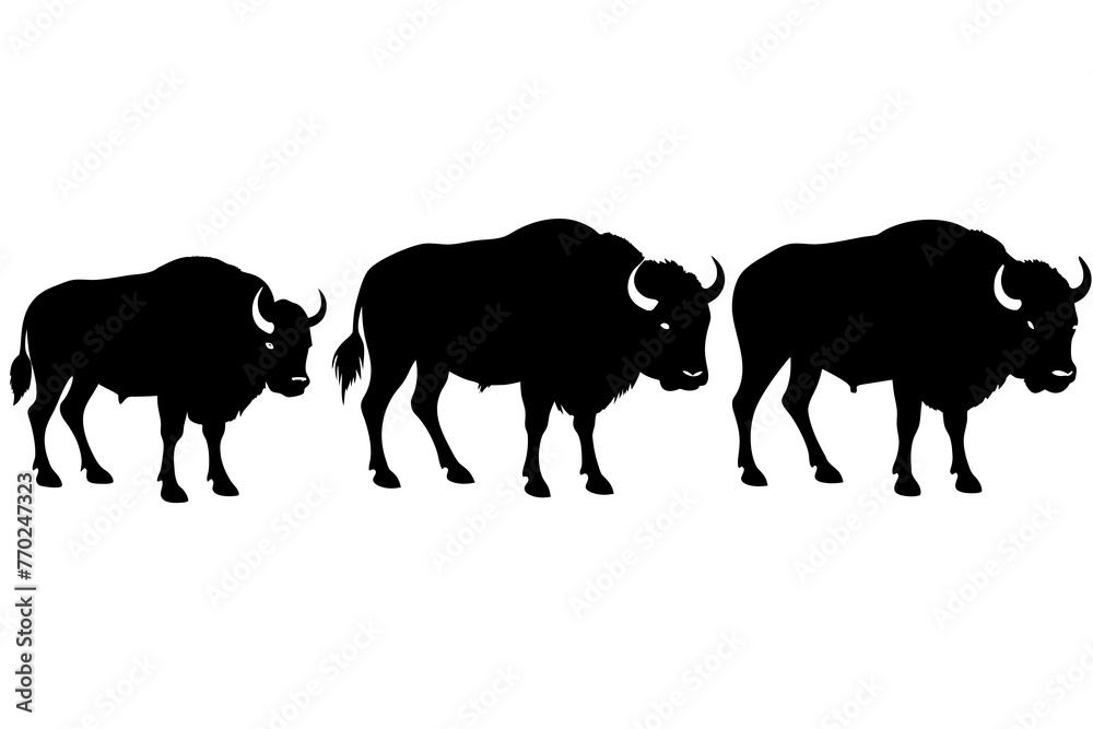 Obraz premium bison silhouette vector illustration