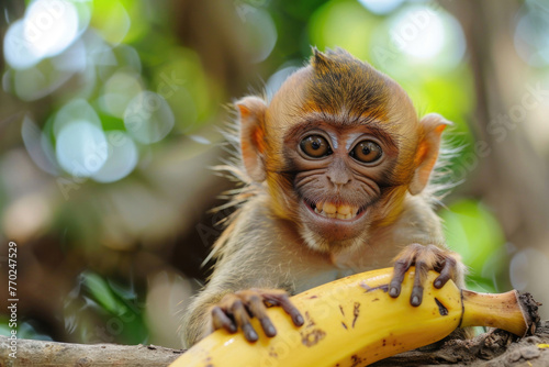 A hilarious close-up of a mischievous monkey with a playful grin © Veniamin Kraskov