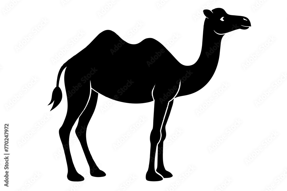 Fototapeta premium dromedary silhouette vector illustration