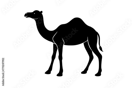dromedary silhouette vector illustration