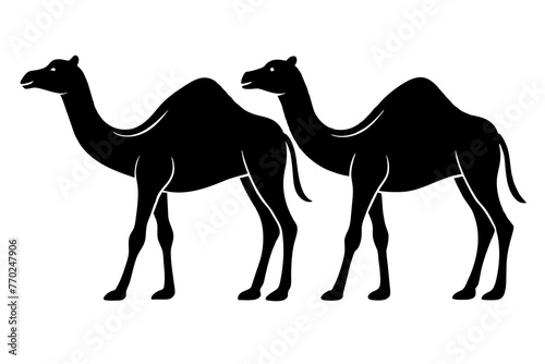 dromedary silhouette vector illustration