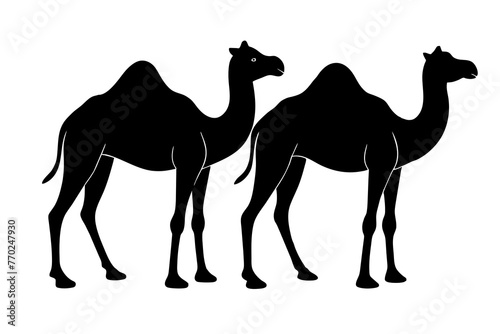 dromedary silhouette vector illustration