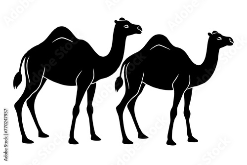 dromedary silhouette vector illustration