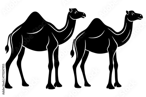 dromedary silhouette vector illustration