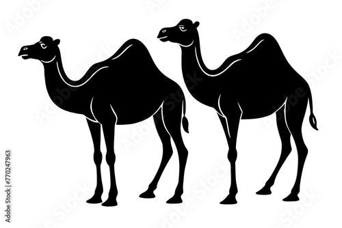 dromedary silhouette vector illustration