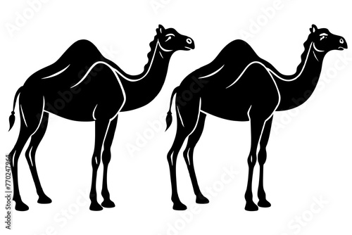 dromedary silhouette vector illustration
