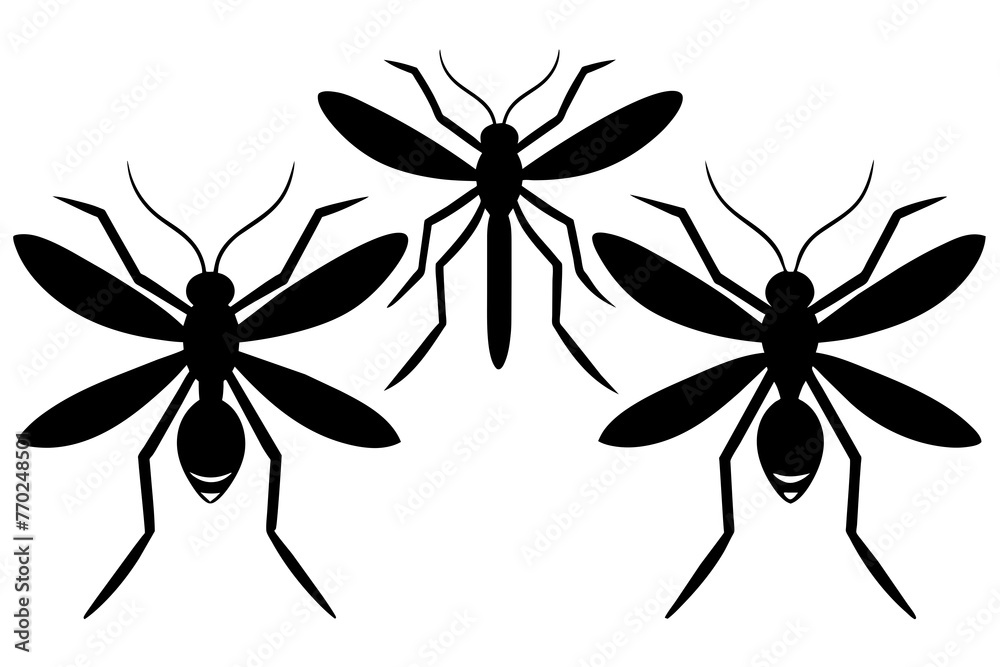 mosquito silhouette vector illustration mosquito silhouette vector illustration