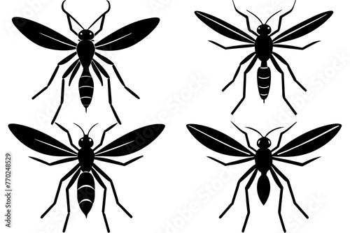 mosquito silhouette vector illustration © MDSHIJU