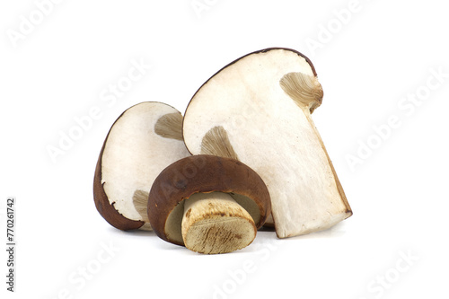 Pine bolete mushrooms over white background