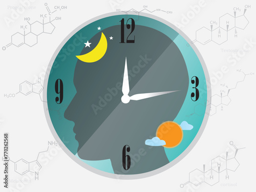 The circadian rhythms are controlled by the circadian clock or biological clock that commands our brain to release hormones to control our activity in several days. photo