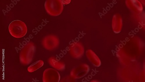 Red Blood Cells Flow Video | Blood Cells Under Microscope Video | Red Blood Cells Streaming Video photo