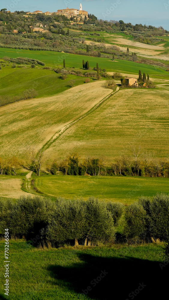 Panorama collinare della Val d'Orcia lungo il percorso ciclistico dell'Eroica. Provincia di Siena. Toscana , Italia Panorama collinare della Val d'Orcia lungo il percorso ciclistico dell'Eroica. Provincia di Siena. Toscana , Italia
