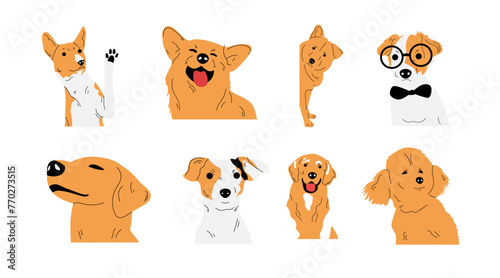 collection of vector illustrations of dog animals