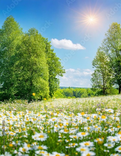Beautiful blurred spring background nature with blooming glade chamomile, trees and blue sky on a sunny day, Ai Generate