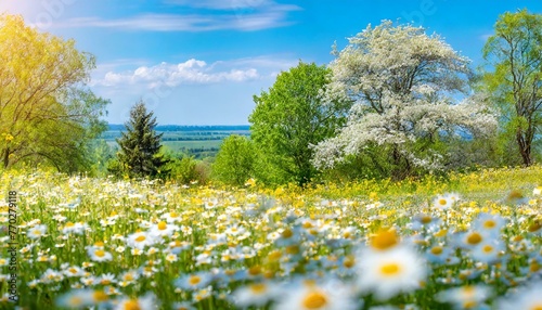 Beautiful blurred spring background nature with blooming glade chamomile, trees and blue sky on a sunny day, Ai Generate