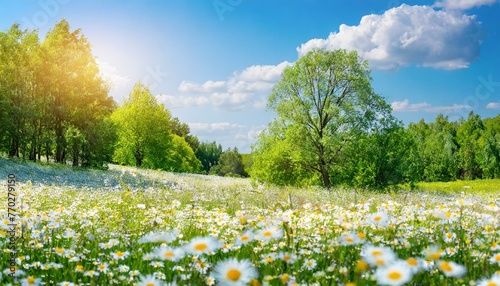 Beautiful blurred spring background nature with blooming glade chamomile, trees and blue sky on a sunny day, Ai Generate