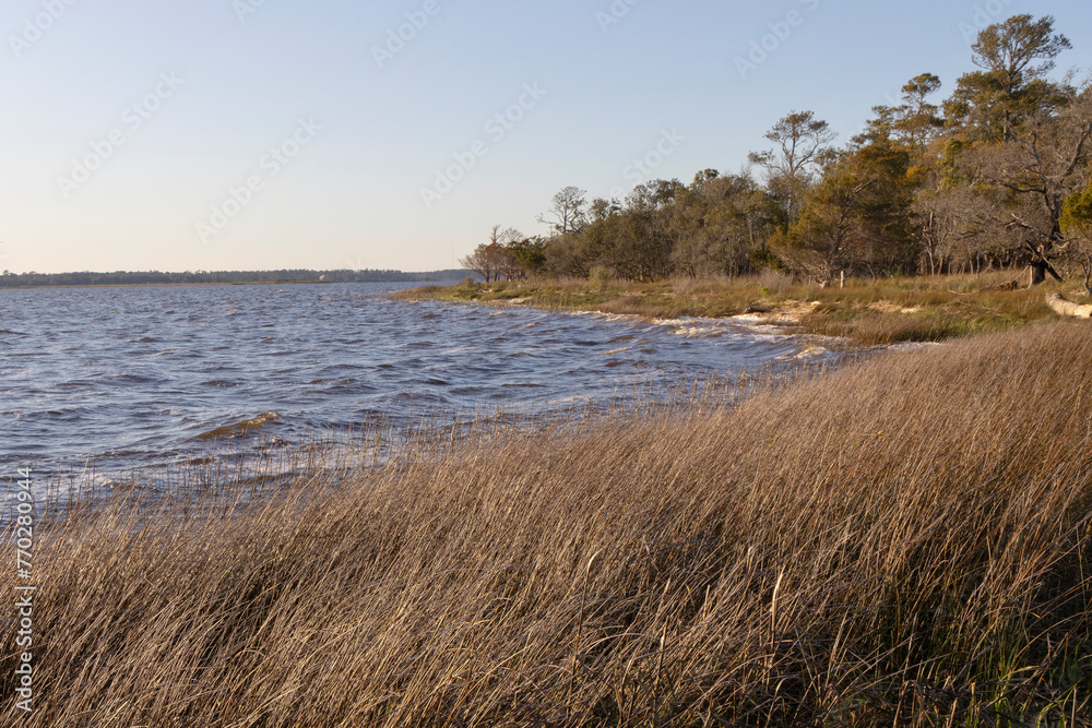 A scenic view of the Cape Fear River shoreline at Carolina Beach State Park, in North Carolina. 