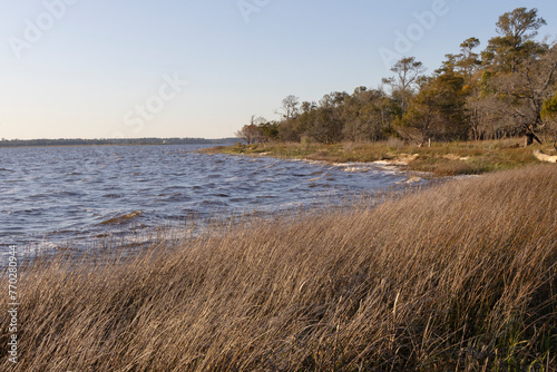 A scenic view of the Cape Fear River shoreline at Carolina Beach State Park  in North Carolina. 