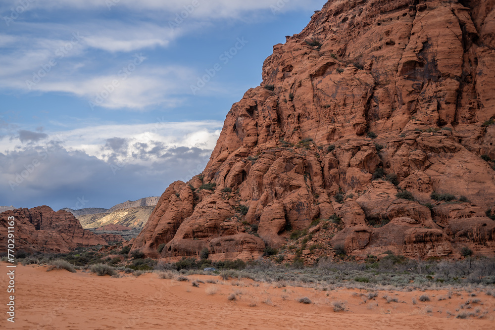 Shrubs and Landscape Desert Rocks