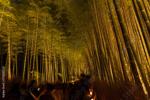 日本の風景　古都京都　嵐山花灯路　竹林の小径